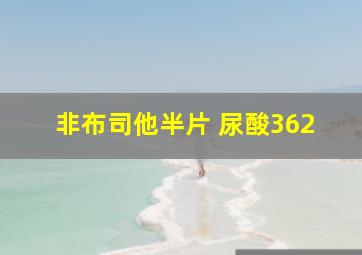 非布司他半片 尿酸362